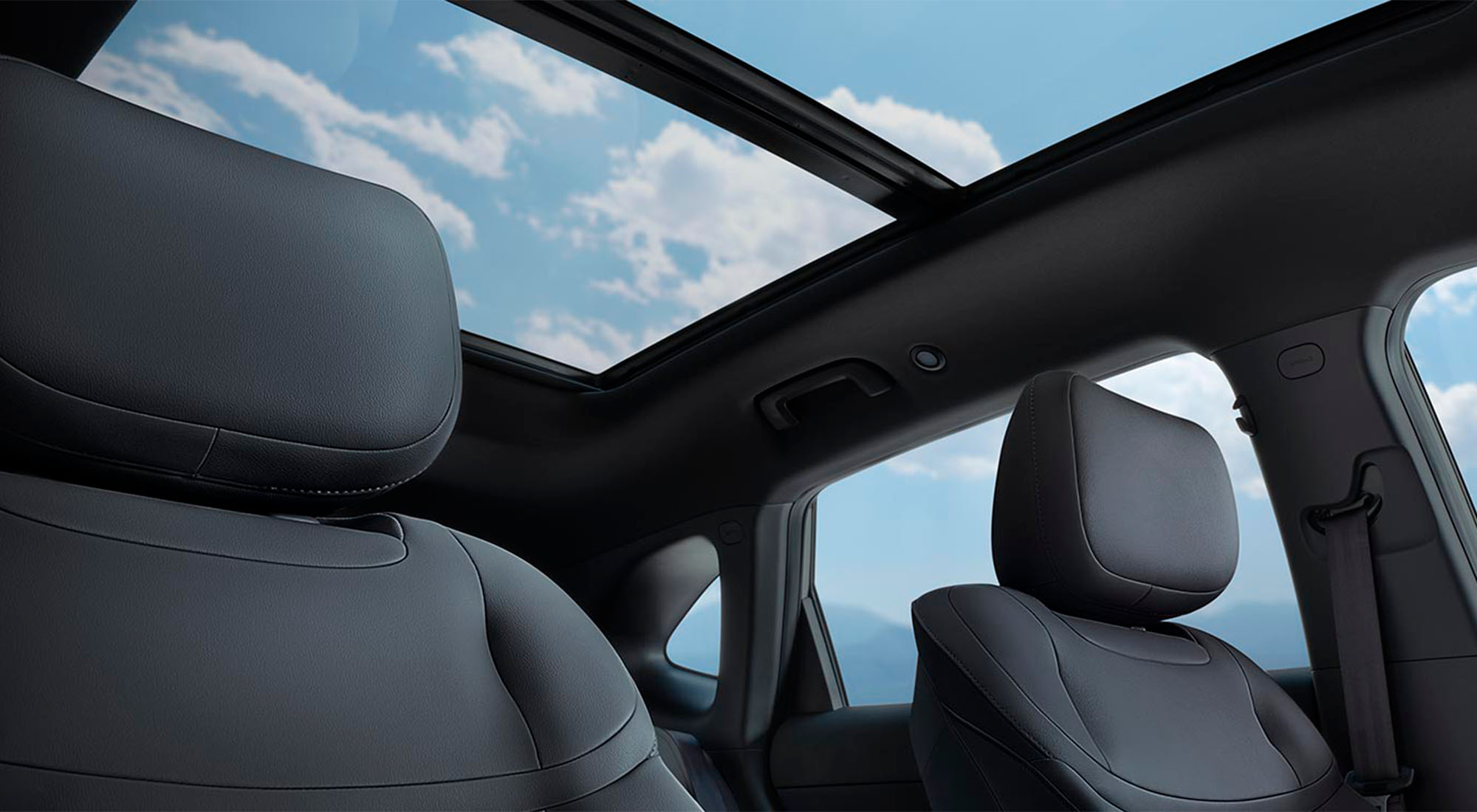 color negro interior