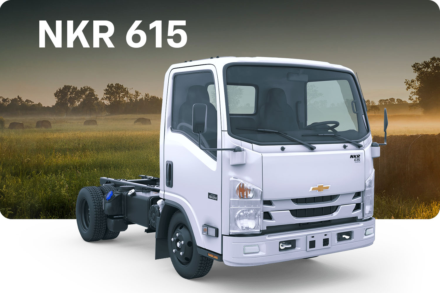 Camión Chevrolet NKR 615 ideal para la ciudad y el trabajo